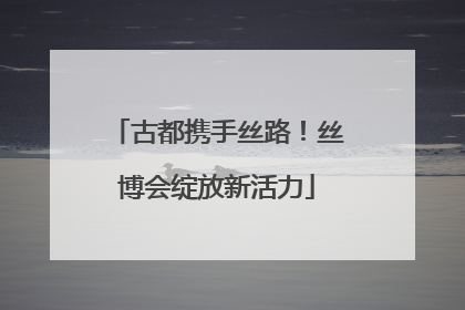 古都携手丝路！丝博会绽放新活力