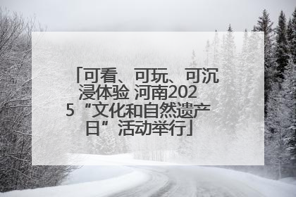 可看、可玩、可沉浸体验 河南2025“文化和自然遗产日”活动举行