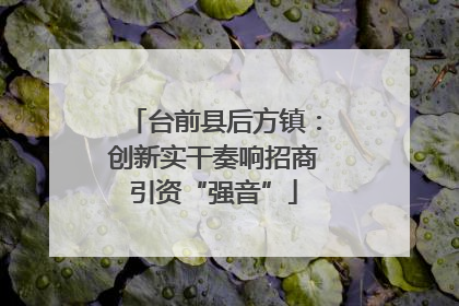 台前县后方镇：创新实干奏响招商引资“强音”