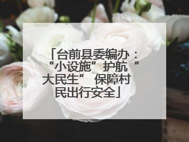 台前县委编办：“小设施”护航“大民生” 保障村民出行安全