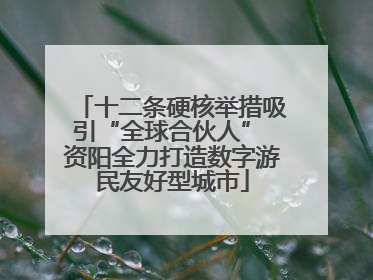 十二条硬核举措吸引“全球合伙人” 资阳全力打造数字游民友好型城市