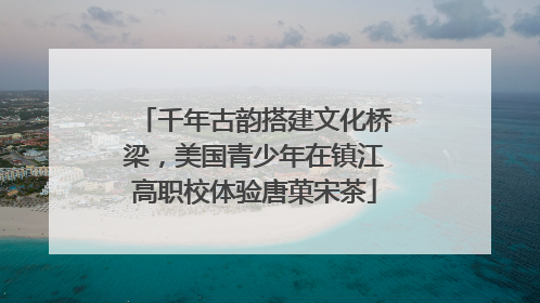 千年古韵搭建文化桥梁，美国青少年在镇江高职校体验唐菓宋茶
