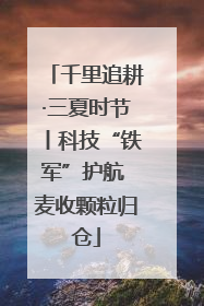 千里追耕·三夏时节丨科技“铁军”护航 麦收颗粒归仓