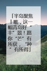 半岛聚焦丨瞧，这一幅青岛好“丰”景！愿你“芒”有所获，“种”有所得