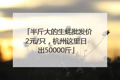 半斤大的生蚝批发价2元/只，杭州这里日出50000斤