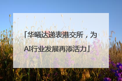 华曦达递表港交所，为AI行业发展再添活力