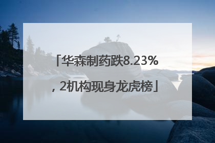 华森制药跌8.23%，2机构现身龙虎榜