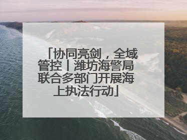 协同亮剑，全域管控丨潍坊海警局联合多部门开展海上执法行动