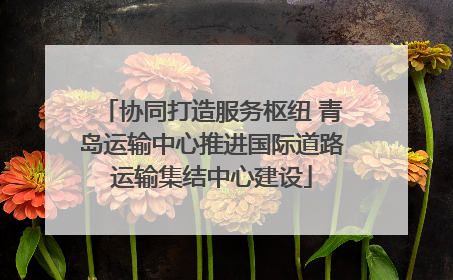 协同打造服务枢纽 青岛运输中心推进国际道路运输集结中心建设