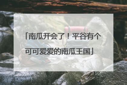 南瓜开会了！平谷有个可可爱爱的南瓜王国