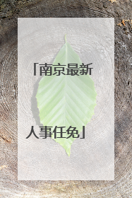南京最新人事任免