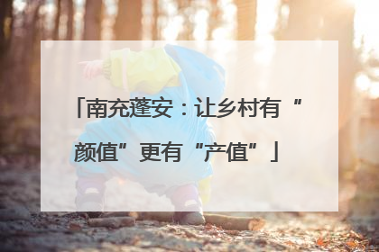南充蓬安：让乡村有“颜值”更有“产值”