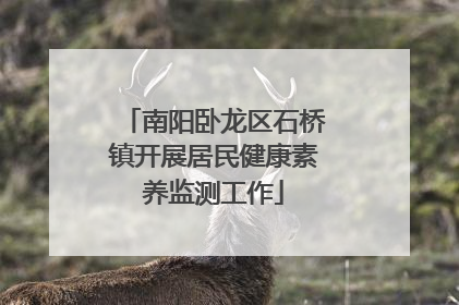 南阳卧龙区石桥镇开展居民健康素养监测工作