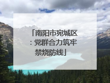 南阳市宛城区：党群合力筑牢禁烧防线