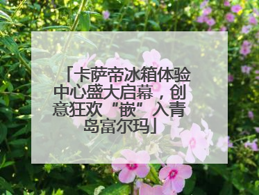 卡萨帝冰箱体验中心盛大启幕，创意狂欢“嵌”入青岛富尔玛