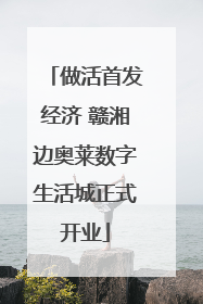 做活首发经济 赣湘边奥莱数字生活城正式开业