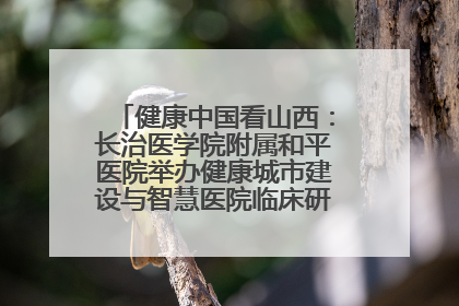 健康中国看山西：长治医学院附属和平医院举办健康城市建设与智慧医院临床研究能力提升交流会