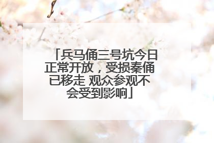 兵马俑三号坑今日正常开放，受损秦俑已移走 观众参观不会受到影响