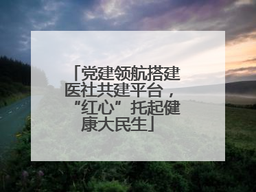 党建领航搭建医社共建平台，“红心”托起健康大民生