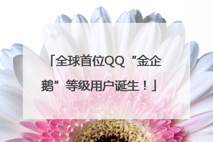 全球首位QQ“金企鹅”等级用户诞生！