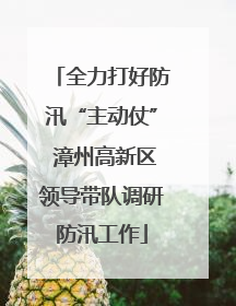 全力打好防汛“主动仗” 漳州高新区领导带队调研防汛工作