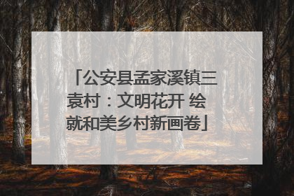 公安县孟家溪镇三袁村：文明花开 绘就和美乡村新画卷