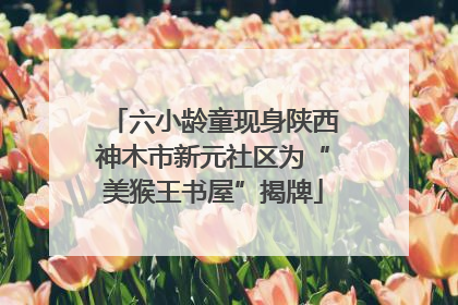 六小龄童现身陕西神木市新元社区为“美猴王书屋”揭牌
