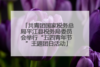 共青团国家税务总局平江县税务局委员会举行“五四青年节”主题团日活动
