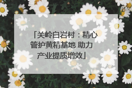 关岭白岩村：精心管护黄精基地 助力产业提质增效