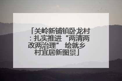 关岭新铺镇卧龙村：扎实推进“两清两改两治理” 绘就乡村宜居新图景