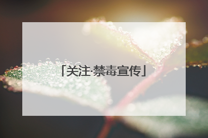关注·禁毒宣传