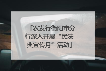 农发行衡阳市分行深入开展“民法典宣传月”活动