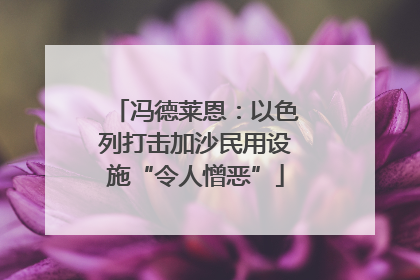 冯德莱恩：以色列打击加沙民用设施“令人憎恶”