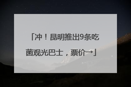 冲！昆明推出9条吃菌观光巴士，票价→