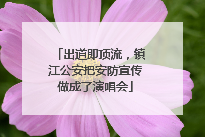 出道即顶流，镇江公安把安防宣传做成了演唱会