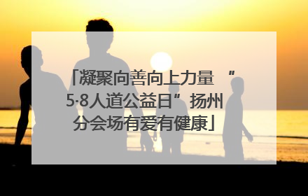 凝聚向善向上力量 “5·8人道公益日”扬州分会场有爱有健康