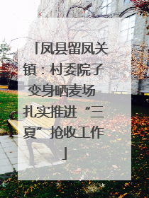 凤县留凤关镇：村委院子变身晒麦场 扎实推进“三夏”抢收工作