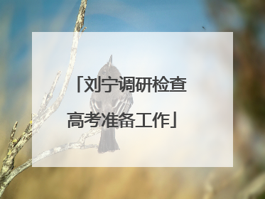 刘宁调研检查高考准备工作