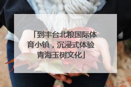 到丰台北粮国际体育小镇，沉浸式体验青海玉树文化