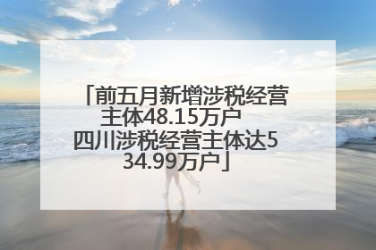 前五月新增涉税经营主体48.15万户 四川涉税经营主体达534.99万户