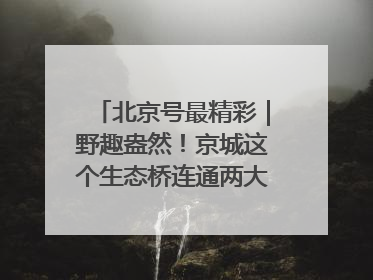 北京号最精彩｜野趣盎然！京城这个生态桥连通两大网红公园