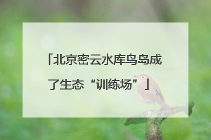 北京密云水库鸟岛成了生态“训练场”