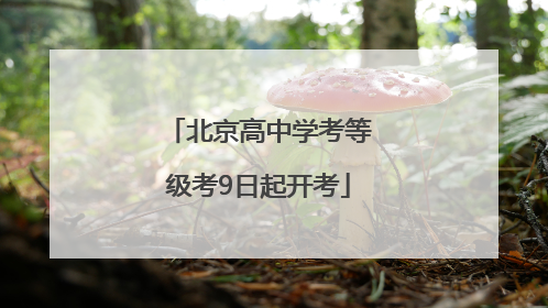 北京高中学考等级考9日起开考
