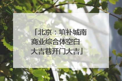 北京：填补城南商业综合体空白 大吉巷开门大吉
