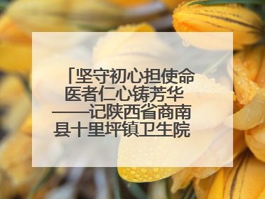 坚守初心担使命 医者仁心铸芳华——记陕西省商南县十里坪镇卫生院副院长贾胡委