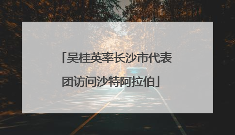 吴桂英率长沙市代表团访问沙特阿拉伯