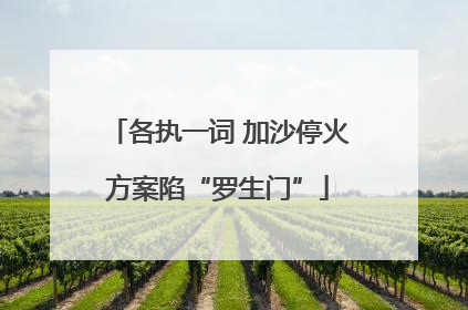 各执一词 加沙停火方案陷“罗生门”