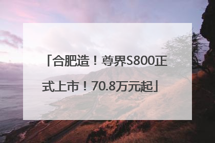 合肥造！尊界S800正式上市！70.8万元起
