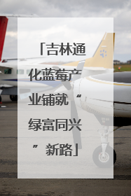 吉林通化蓝莓产业铺就“绿富同兴”新路