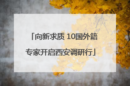 向新求质 10国外籍专家开启西安调研行